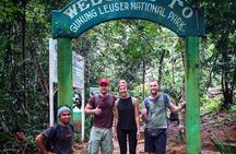 Private Full-Day Bukit Lawang Trekking Tour From Medan
