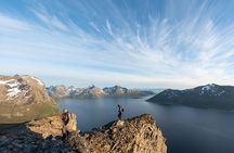 Tromsø: Midnight Sun Hike with Wandering Owl