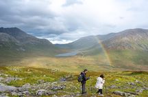 Tromsø: Summer Day Hike with Wandering Owl