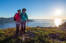 Tromsø: Summer Day Hike with Wandering Owl