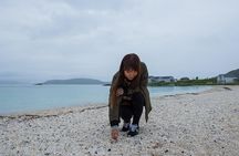 Summer Fjord Road Trip with Citizen Science with Wandering Owl