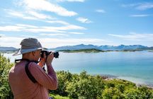 Summer Fjord Road Trip with Citizen Science with Wandering Owl