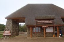Day Tour To Mt. Kenya 