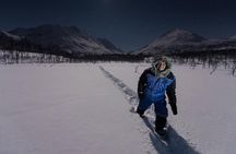 Star Walk Night Snowshoeing Tour from Tromso