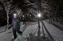 Star Walk Night Snowshoeing Tour from Tromso