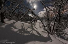 Star Walk Night Snowshoeing Tour from Tromso