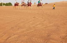 Morning Desert Safari with Sand Boarding and Dune bashing