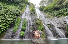 Private Tour: Jatiluwih Rice Terraces - Ulun Danu Temple - Bayumala Waterfalls