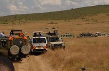 3 Days Masai Mara Lodge Private Safari Min 2 Pax