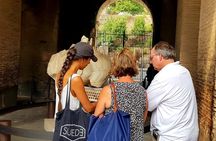 The best Colosseum tour with arena