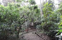 Birdwatching & Nature Day. Florida Wetland, El Tabacal Lagoon & Enchanted Garden