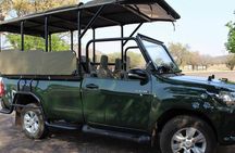Pilanesberg and Sun City Tour 