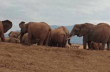 3 days safari Tsavo East and West