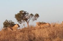 3 days safari Tsavo East and West