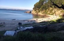 Tour around Chome & Perone Coves and Ramuntcho Beach