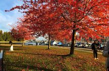 Vancouver, Grouse Mountain, Suspension &The Look Out Private Tour