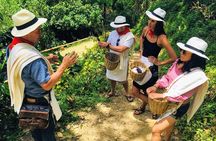 EXPERIENCES COLOMBIA (coffee tour)