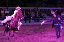 Lunch Show - Exhibition of Peruvian Horse with Pick up & drop off