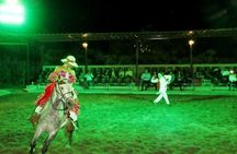Lunch Show - Exhibition of Peruvian Horse with Pick up & drop off