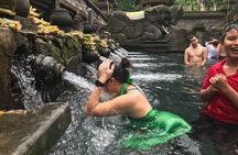 Private Full-Day Bali Tour