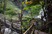 Doi Inthanon Day tour