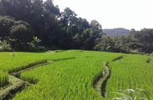 Doi Inthanon Day tour