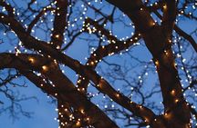 Iceland's Christmas Myths and Traditions - Reykjavík walking tour