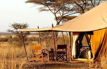 7 days - Northern Tanzania Camping Safaris