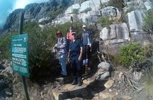 Indian-Venster - Table Mountain