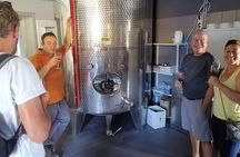 The Gourmet Wine Tour of Heraklion area