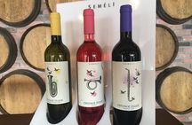 A world of wine-tasting in Nemea from Athens