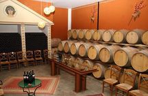 A world of wine-tasting in Nemea from Athens