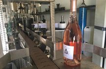 A world of wine-tasting in Nemea from Nafplio