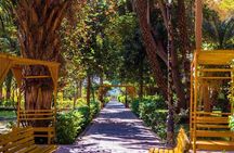 Aswan Botanical garden with Felucca ride 