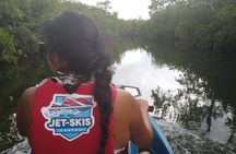 Cancun mangrove jet ski tour: 1 rider per jet ski