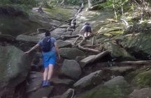Pedra da Gavea Hike - Best Prices - Small Groups