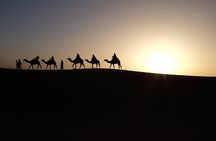 Shared Desert Tour Merzouga From Marrakech ( 3 Days 2 Nights )