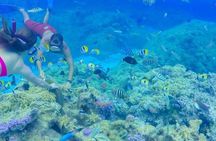 Full-Day Bora Bora Lagoon Cruise Including Snorkeling with Sharks and Stingrays