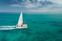 Full-Day Great Barrier Reef Sailing Trip from Cairns