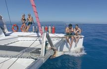 Full-Day Great Barrier Reef Sailing Trip from Cairns