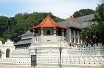Kandy to Dambulla Cave Temple and Sigiriya - Day Tour
