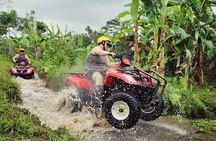 Bongkasa Half-Day Quad Bike ATV Ride Village Adventure in Bali with Transfer