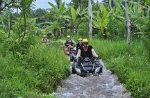 Bongkasa Half-Day Quad Bike ATV Ride Village Adventure in Bali with Transfer