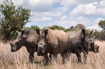 2-Day Ultimate game viewing at Tsavo East National Park