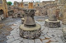 Pompeii Guided Walking Tour with Ticket