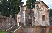 Pompeii Guided Walking Tour with Ticket