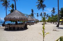 Private Puerto Princesa island tour: Shore excursion