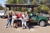 Kruger Park Safari - Half Day Game Drive from Hazyview