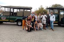 Shared Full Day Guided Safari Tour Visit to Kruger National Park 