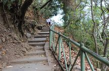Best Sendang Gile and Tiu Kelep Waterfalls Tour